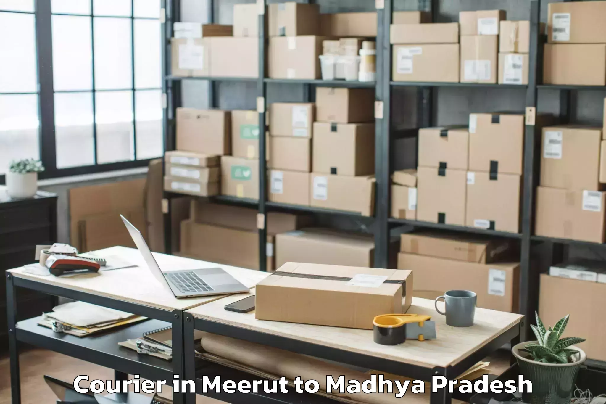 Affordable Meerut to Ashta Courier